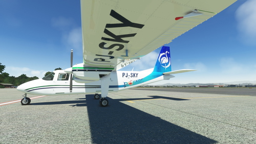 BN2 Islander Divi Divi Air Bonaire livery request