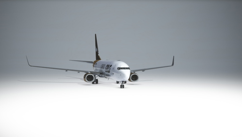 Boeing 737-800 - Gold Cargo