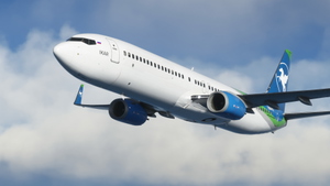 IKAR RA-73344 PMDG B737-900ER thumbnail 1