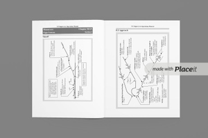 Boeing 737 NG Maneuvers - Flight Patterns thumbnail 2