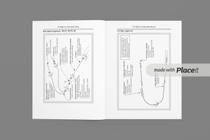 Boeing 737 NG Maneuvers - Flight Patterns thumbnail 4