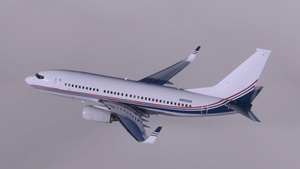 Boeing Executive BBJ N835BA & N836BA - PMDG 737-700 BBJ thumbnail 8