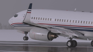 Boeing Executive BBJ N835BA & N836BA - PMDG 737-700 BBJ thumbnail 5