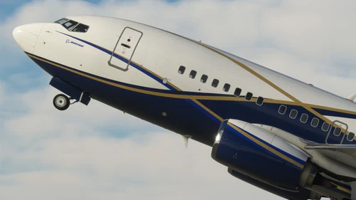 Boeing Executive Jets (N839BA) - PMDG 737-700 BBJ