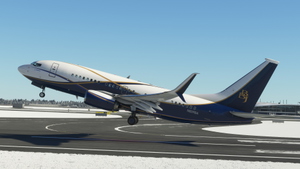 Boeing Executive Jets (N839BA) - PMDG 737-700 BBJ thumbnail 2