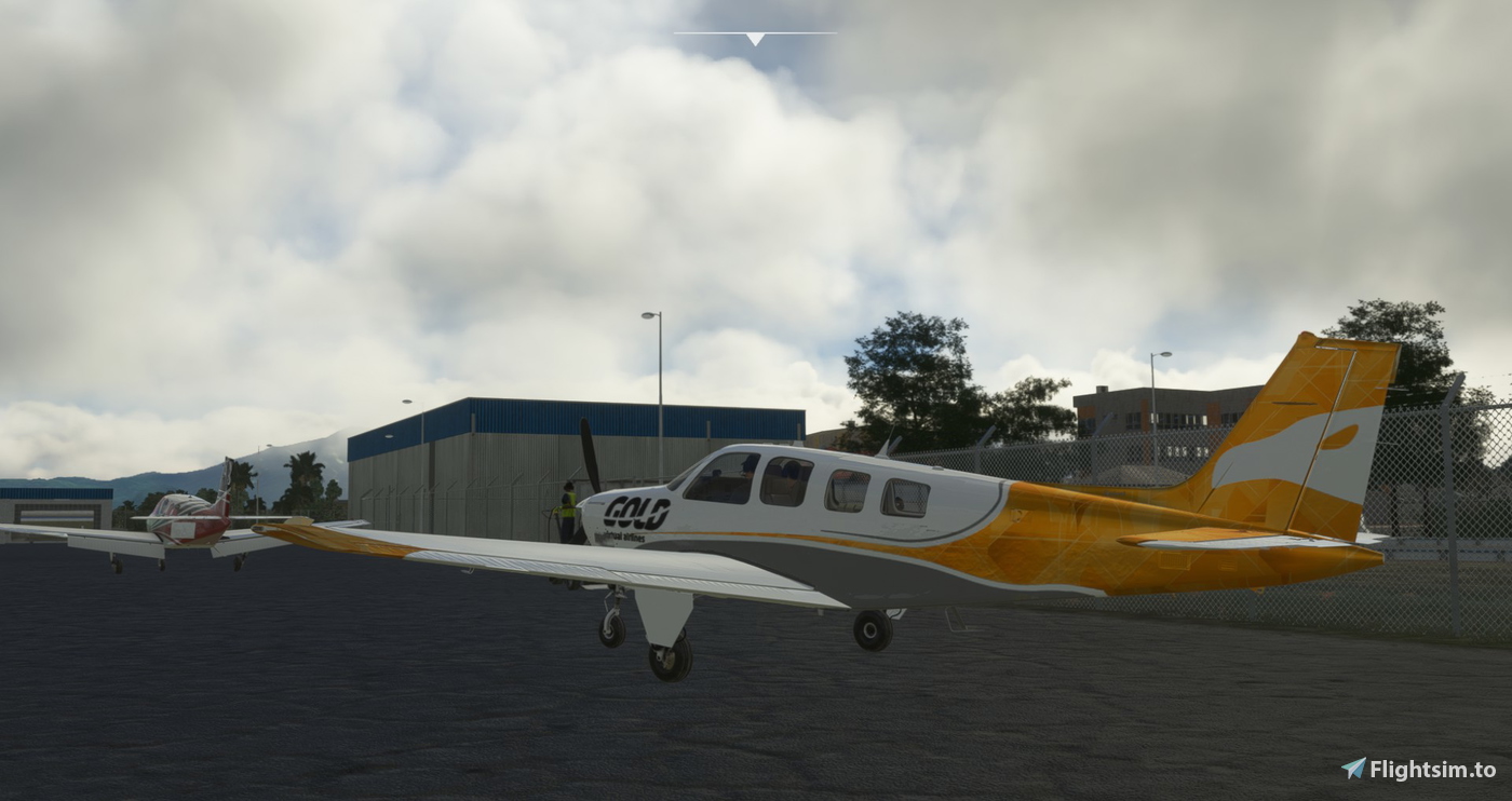 Bonanza BE36 Analogico Just Flight - 10 anos Gold Virtual Airlines のために ...