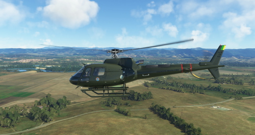 Brazilian Army / Exercito Brasileiro 1º BAvEx