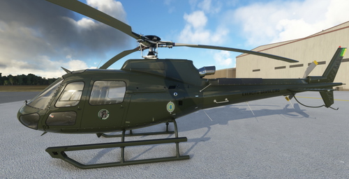 Brazilian Army / Exercito Brasileiro 3º BAvEx