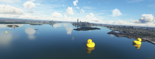 Duck AI/MP replacements