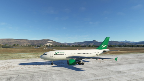 Bursa Virtual Arilines A310