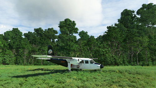 Bush Divers BN-2 Islander Virtual Airline Livery