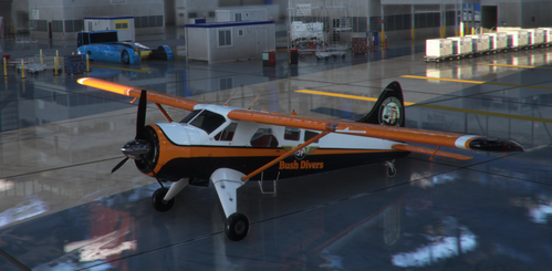 Bush Divers DHC-2 Beaver Livery