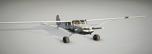 Bush Divers VA - Carenado C170B