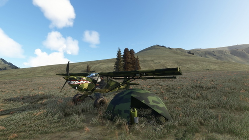 Camo Fox