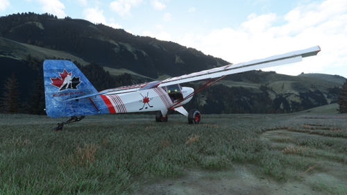 Canadian Ice Fox2