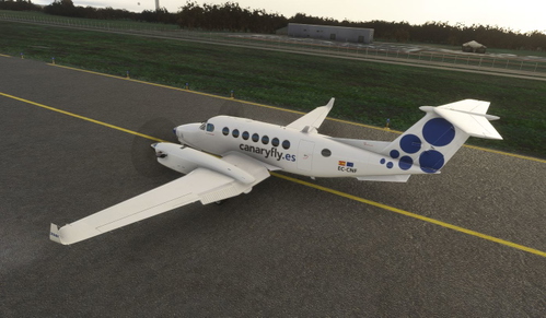 Canaryfly King Air 350i