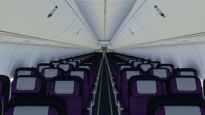  Caribbean Airlines "Air Jamaica" PMDG 737-800 (9Y-JMD) thumbnail 8