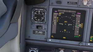  Caribbean Airlines "Air Jamaica" PMDG 737-800 (9Y-JMD) thumbnail 7
