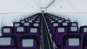 Caribbean Airlines PMDG 737-800 (9Y-ANU) thumbnail 7