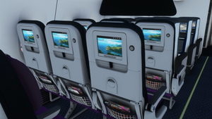 Caribbean Airlines PMDG 737-800 (9Y-ANU) thumbnail 8