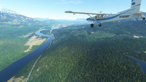 CBQ8 Woodcock