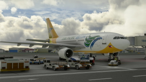 Cebu Pacific Airbus A310 RP-C3343 8K thumbnail 2