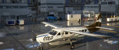 Cessna C208B BlackSquare - Gold Virtual Airlines 10 Years
