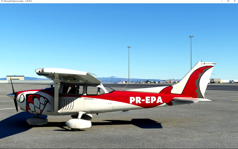 Cessna 172 Liveries for Microsoft Flight Simulator | MSFS