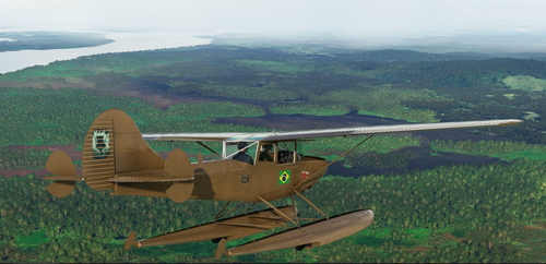 Cessna Bird Dog L-19 bbs Float (Amphibian) PP-BLM Curiapo
