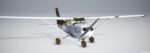 Cessna C172 Classic - Gold Virtual Airlines 10 Years