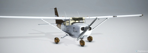 Cessna C172 G1000 - Gold Virtual Airlines 10 Years