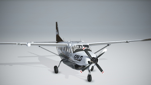 Cessna C208B Asobo - Gold Cargo