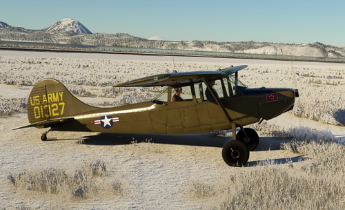 Cessna L19 Bird Dog ARMY Olive with tundra / bush wheels