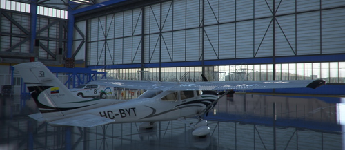Cessna Skylane G1000 Carenado Goldemschrimp HC-BYT