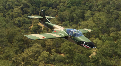 Cessna T-37B Dominican Air Force Green, Brown Sharks mouth. FARD