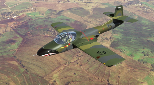 Cessna T-37B Dominican air force Gray Green Sharks mouth. FARD