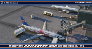 CHINA SOUTHERN AIRLINES B-1979 HENAN HOMETOWN thumbnail 3