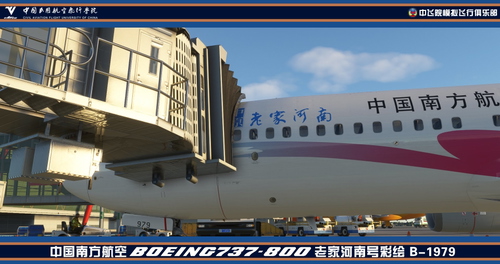 CHINA SOUTHERN AIRLINES B-1979 HENAN HOMETOWN
