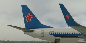 China Southern B-1585 PMDG 737-800 4K  thumbnail 3