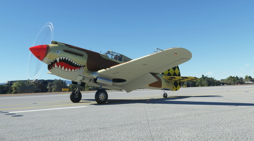 Chino California P-40N Fsadni's P-40B