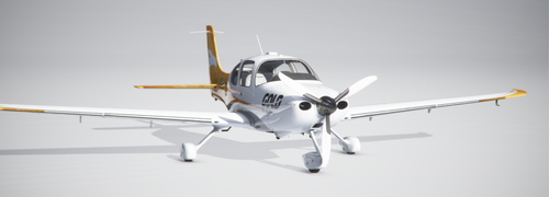 Cirrus SR22 - Gold Virtual Airlines - 10 Years