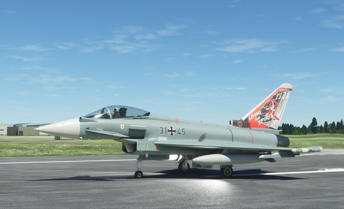 CJ Simulations Typhoon JG71_JG73 31+45