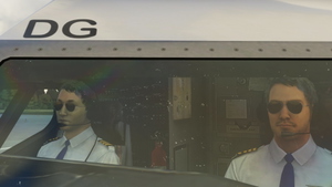 Co-Pilot Pmdg 737-600/700/800 thumbnail 3
