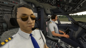 Co-Pilot Pmdg 737-600/700/800 thumbnail 1