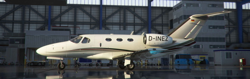 Cockspur C510 Mustang | D-INEZ