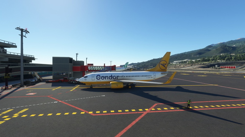 Condor "Classic Yellow" Livery | BW and SSW | D-ABWC