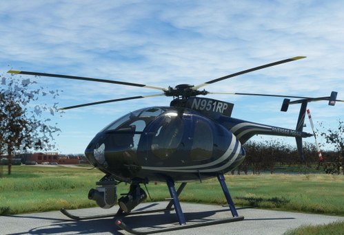 Cowansim 500E - N951RP Riverside Police