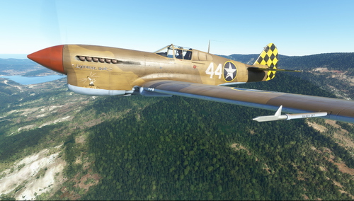 Curtiss P-40F 325th FG #44 "Lighthouse Louie"