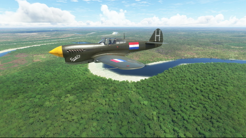 Curtiss P-40F Dutch Air Force No.120 Sqn H "Snafu"