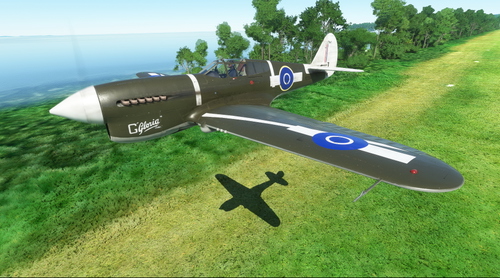 Curtiss P-40F RNZAF NZ3148 G "Gloria Lyons"